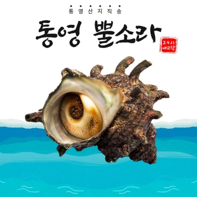 24시내고향 깨끗한 통영 홍가리비 석화 굴 뿔소라 찜용 1kg 3kg 5kg 가리비, 1개, 뿔소라 1kg