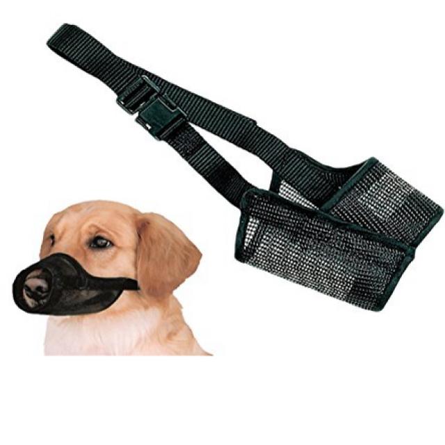 COASTAL BEST FIT MESH #8 MUZZLE 11.5 INCH NOSE 카스트 러 베스트 피트 메쉬 # 8 머플러 11.5 인치 코, 1