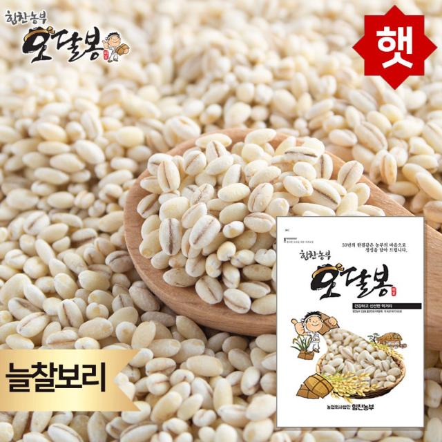 힘찬농부오달봉 2020년 햇 찰보리 찰보리쌀 늘찰보리 국내산, 1개, 5kg