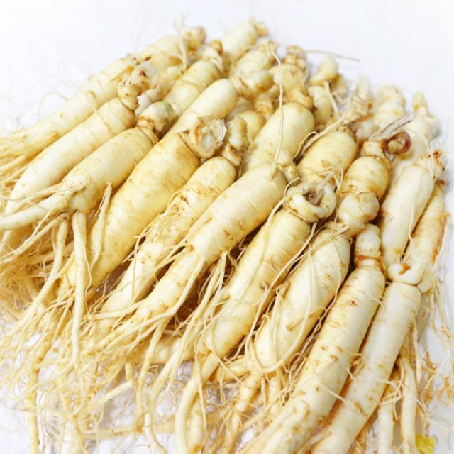 국산 가정용 수삼 인삼 오쿠용 세척인삼 24-32편(400g)