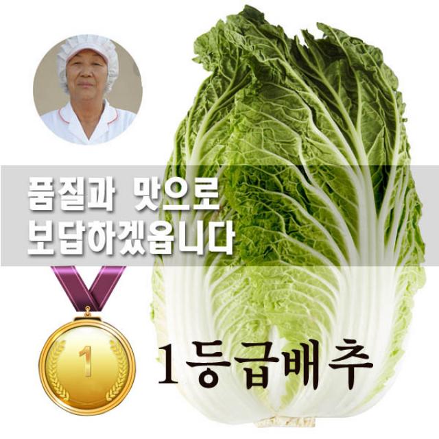 [싱싱도보장]한파에도 걱정없는 괴산절임배추20kg, 10월 21일발송-22일도착, 20kg