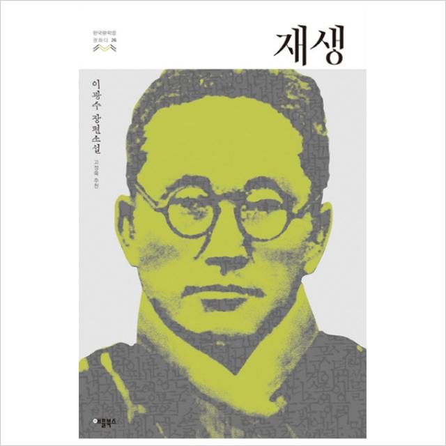 재생(이광수 장편소설(한국문학을 권하다 26)