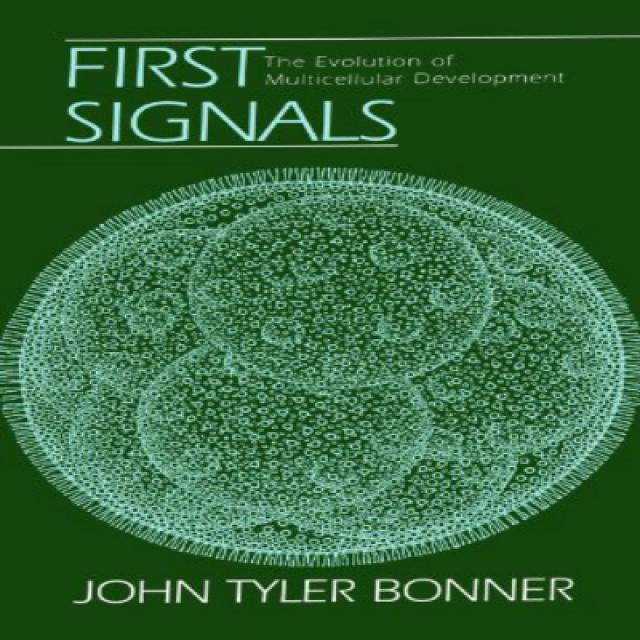 Paperback First Signals: The Evolution of Multicellular Development. 페이퍼 백 첫 번째 신호 : 다세포 개발의 진화., 1