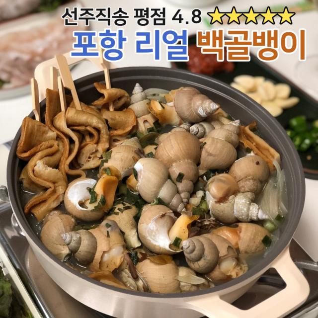 포항 동해안 자연산 백고동 백골뱅이 골뱅이탕 소 중 대 1kg, 백고동 소1kg (40-60마리))