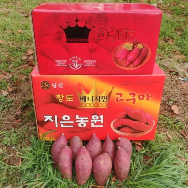 미소진 프리미엄 고구마 지은농원 베니지민 꿀고구마 사이즈별 3kg 5kg 10kg ★맛보기상품★ 소/한입 사이즈 1kg