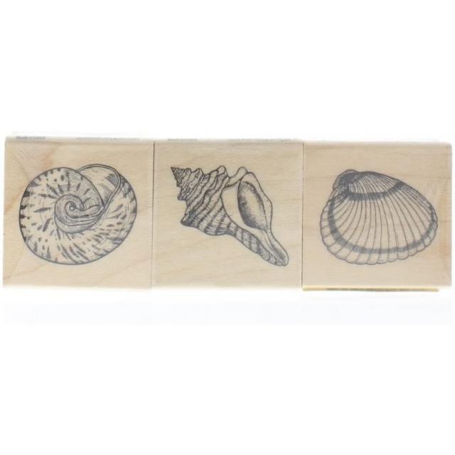 SEASHELLS (3 개 세트) 고무 도장, 단일상품, 단일상품