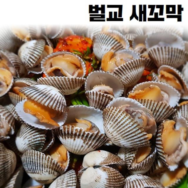 겁나게 맛있꼬막 최상급 벌교 꼬막 손질 새꼬막 대 참꼬막 제철 산지직송 1kg 2kg 3kg 5kg 10kg