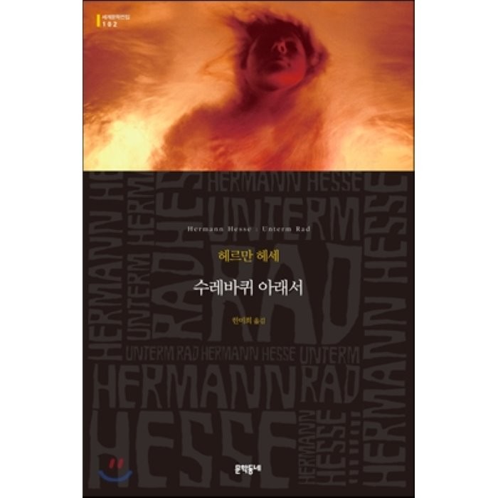 수레바퀴 아래서 (세계문학전집 102), 문학동네