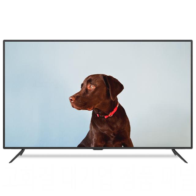 살루스 55인치 UHD LED TV 대기업패널 / 중소기업 티비 스텐드 벽걸이 설치, 기본배송