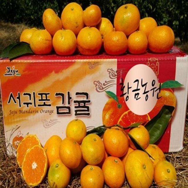 효돈귤 쿠팡최저가 무조건 당일발송 5kg 10kg 15kg 서귀포 효돈감귤 1box ★한정★7.5kg로얄소과 2s M 