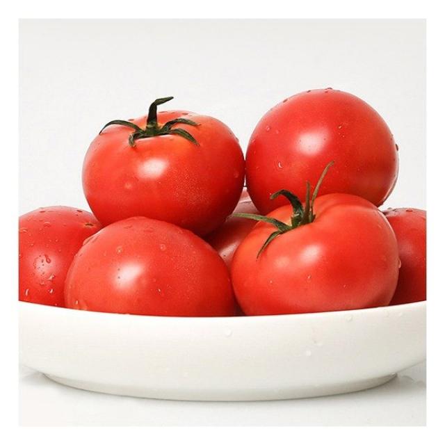 [농부마음] 완숙토마토 5kg 1-2번, 상세 설명 참조, 상세 설명 참조