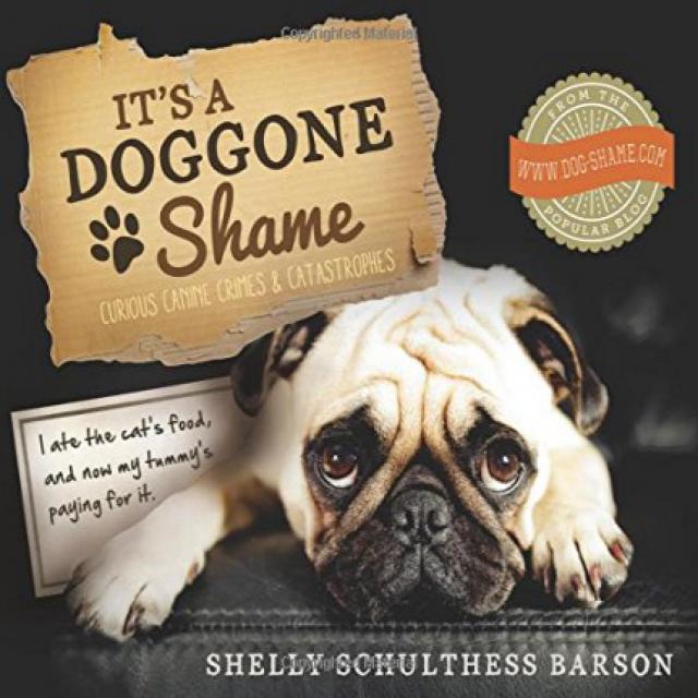 Paperback It's a Doggone Shame: Curious Canine Crimes and Catastrophes 문고판 그것은 독단적 수치 다 : 호기심 많은 송, 1