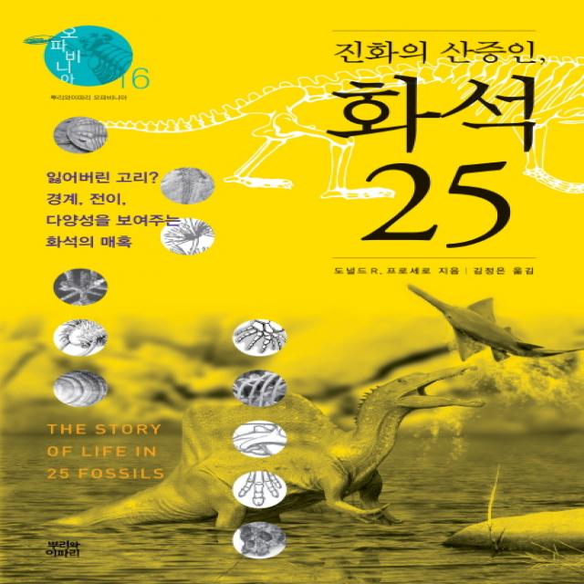 진화의 산증인 화석 25:잃어버린 고리? 경계 전이 다양성을 보여주는 화석의 매혹, 뿌리와이파리