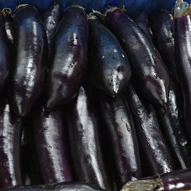 백산상회 가지5kg, 1박스, (못난이)
