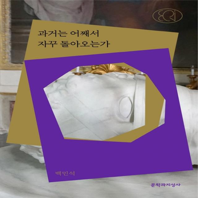 과거는 어째서 자꾸 돌아오는가, 백민석 저, 문학과지성사