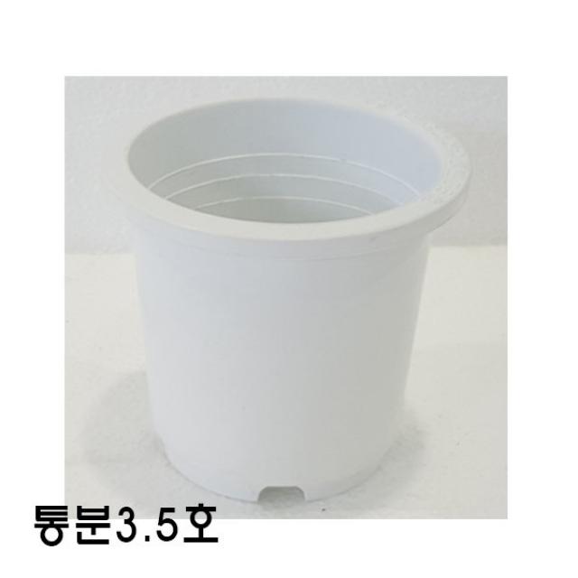 [짱짱마켓] 묶음판매 통분3.5호 200개 플라스틱화분 분갈이흙