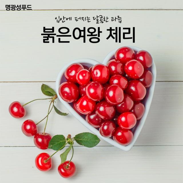 명광성푸드 붉은여왕 체리 칠레산 고당도 체리 싱싱한 새콤한 달콤한 단단한 과일 버찌 케이크 와플 파이, 1kg