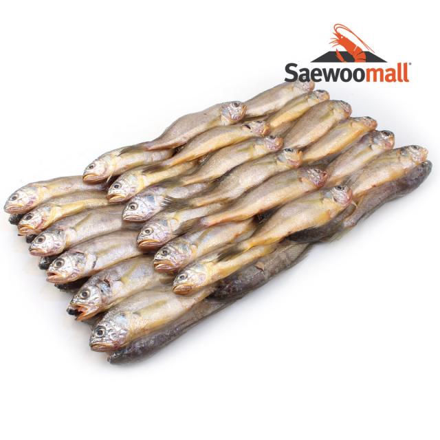 새우몰 참조기 1박스 2.5kg 51-59미내외 업소 도매 냉동조기, 1개