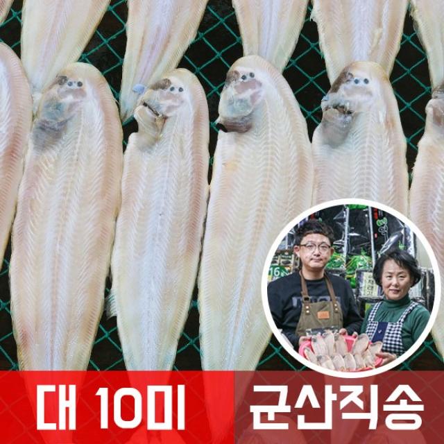맛나젓갈건어물 군산 반건조 박대 서대 10미 대 사이즈 박대구이, 10개