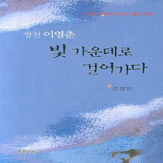 빛 가운데로 걸어가다 푸른사상