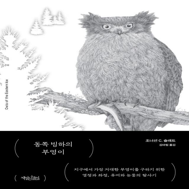 동쪽 빙하의 부엉이, 책읽는수요일, 조너선 C. 슬래트