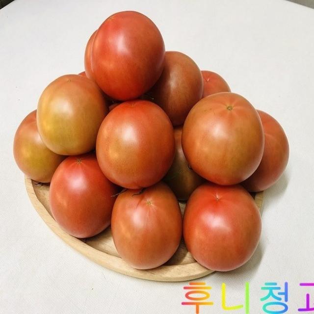 후니청과 신선한[특품]완숙 찰 토마토(동양종), 1box, 5kg