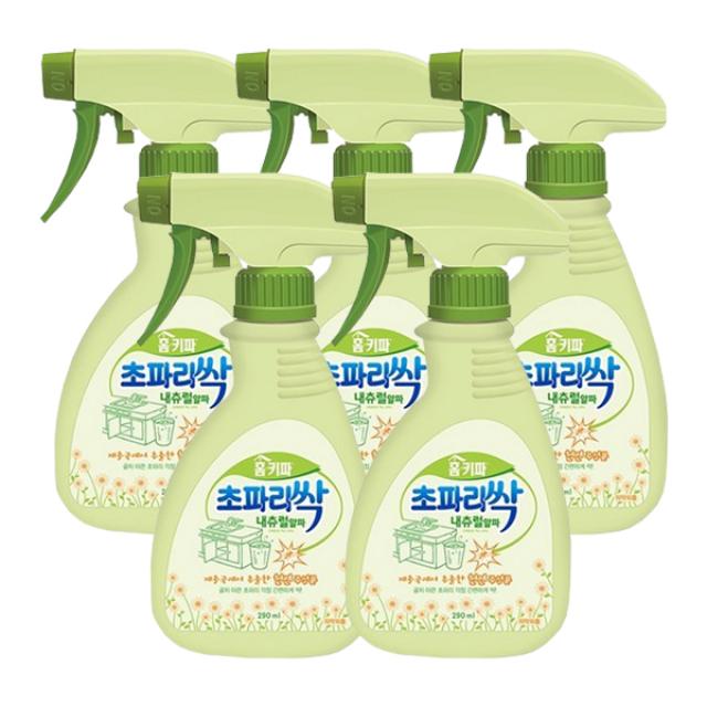 홈키파 초파리싹 스프레이 290ml, 290ml, 5개