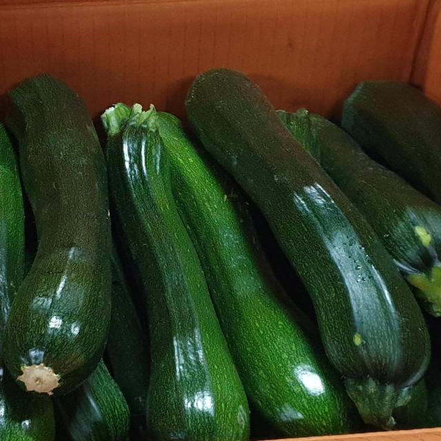 백산상회 쥬키니호박, 1박스, 10kg(상)