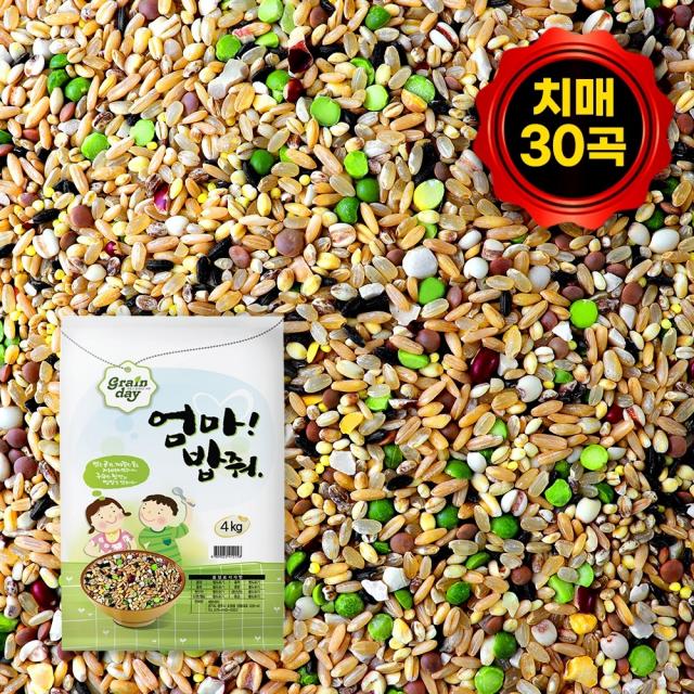 치매에좋은잡곡 30곡 혼합잡곡 4kg 치매예방에좋은음식 뇌건강 뇌에좋은 두뇌영양제, 단품