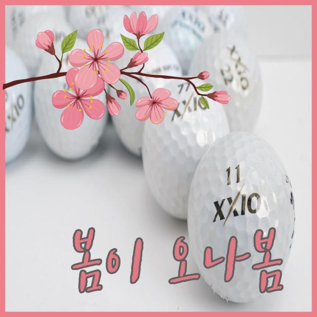 A급 젝시오 펄화이트 로스트볼 황금연휴, 25. 가성비 흰색 혼합 A급_10알