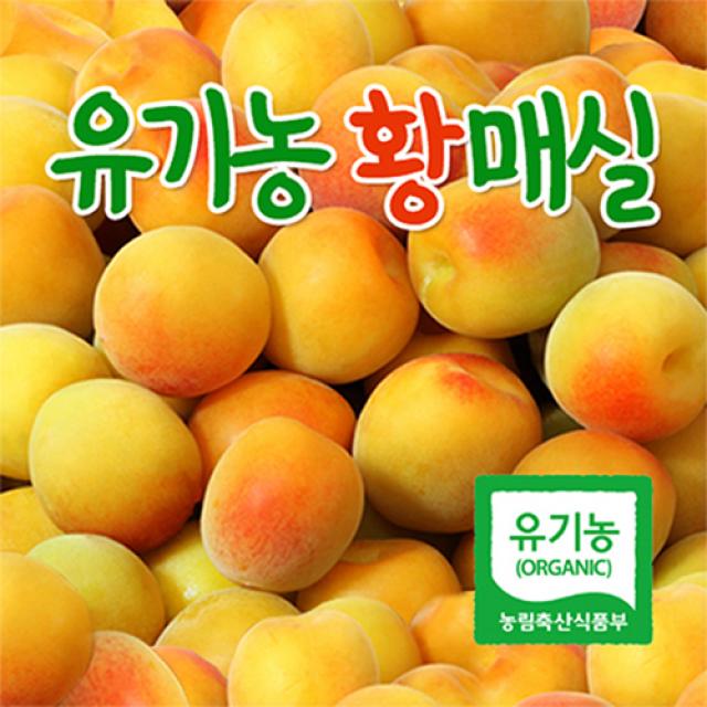 광양매실 왕특 유기농 황매실 5kg 10kg, 1box