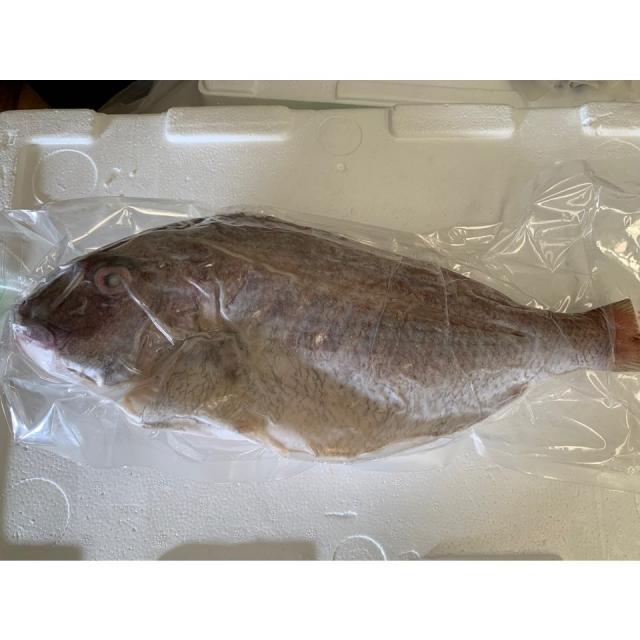  만재도 삼시세끼&1박2일 바로 그~자연산 해녀채취 대 홍합 섭 /돌 미역 대각 /해풍 반건조 생선 선택 1마리 특대 도미1.4kg내외