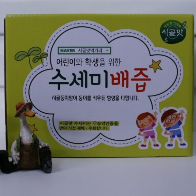 브랜드없음 시골맛 어린이학생용 수세미배즙 120ml, 50팩, 수세미맛의(어린이용) 니글거림을 배의 단맛이 카바해줌