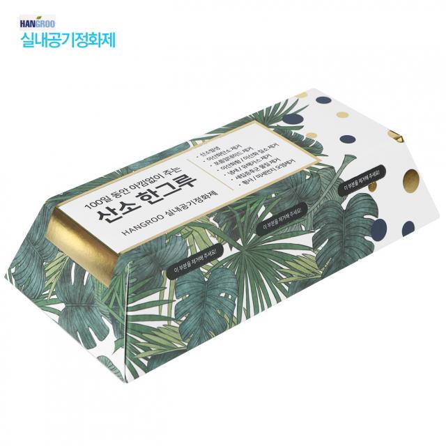 NEW 산소한그루 무전원 무소음 공기정화 산소발생기, 2개