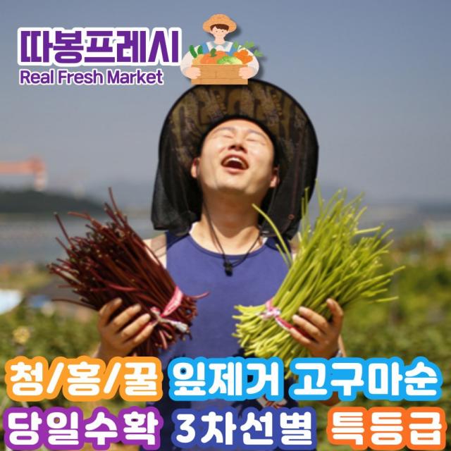 따봉프레시 프리미엄 특품 고구마순 청/홍/꿀 잎제거 백화점납품용