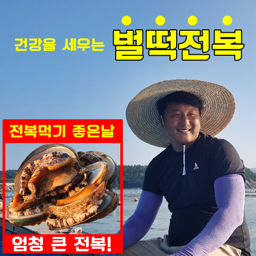 완도전복 특대 선물용 1kg 1.5kg 2kg 3kg 고급포장 선물 고급보자기증정