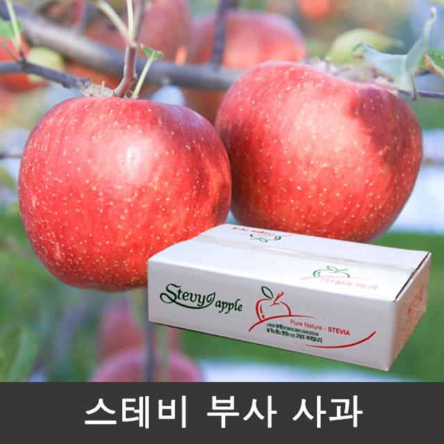 RA라유1_의성사과 스테비사과 고당도 부사 사과 4kg 12-18과 스테비아 고당도사과 맛있는사과 스테비아농법 명절선물+[xlems2313], 선택ː없음, 선택ː없음