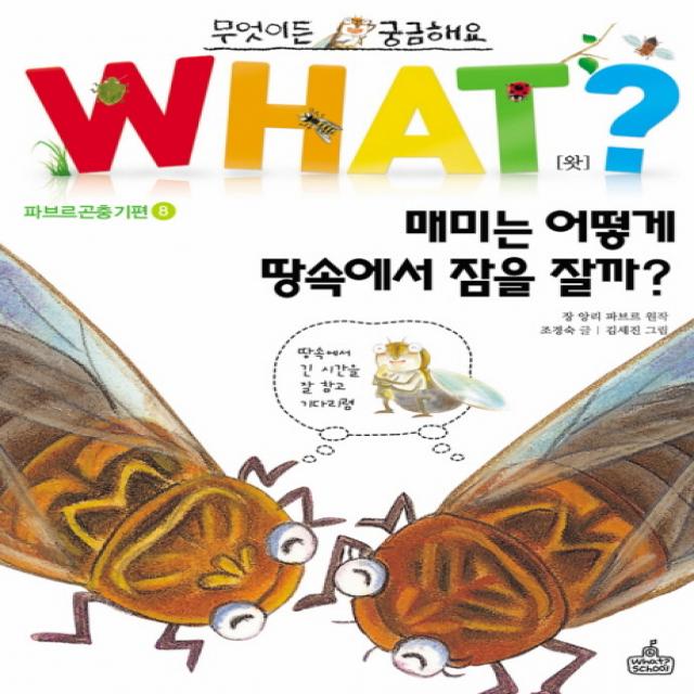 무엇이든 궁금해요 매미는 어떻게 땅속에서 잠을 잘까, WHAT SCHOOL