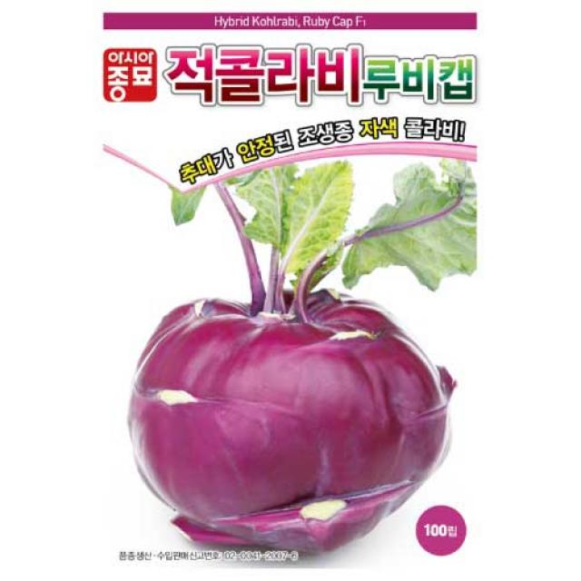 [농사넷]아시아종묘 조생종 자색 콜라비 종자 적콜라비 루비캡(100립)