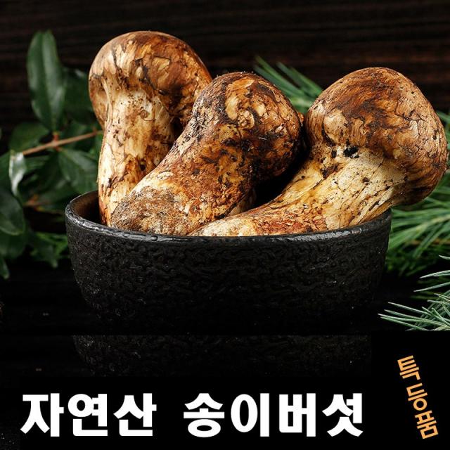 진심좋은 2022년 자연산 송이 버섯 자연 송이버섯 1kg, 1box, 특등급 9cm이상 1kg