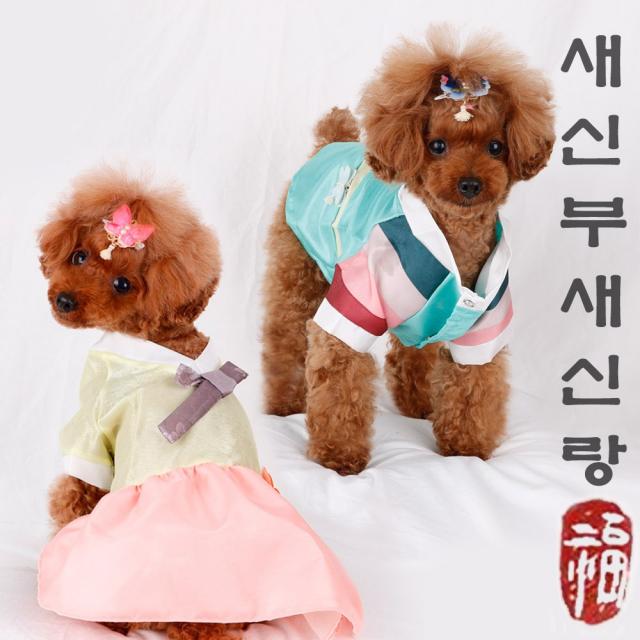 메이리제이펫 새신랑 새색시 강아지 설날 추석 명절 Xs~2xl 한복 핑크_새색시