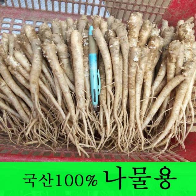  금산도라지 직접재배한 생도라지1kg >산지직송>국산도라지 약도라지 엑기스용 나물용 무침 정과용 배즙용 *도매전문* 1개 도라지 나물용 1kg