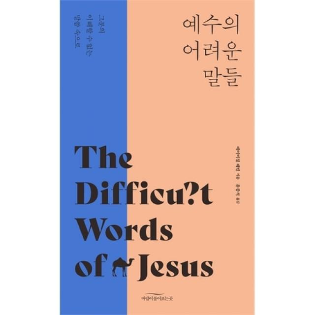 예수의 어려운 말들 - 그분의 이해할 수 없는 말씀 속으로