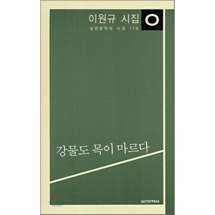 강물도 목이 마르다, 이원규 저, 실천문학사