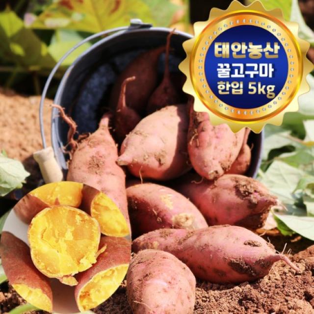 태안농산 안면도 꿀고구마 고당도 베니하루카 중.두세입(50g~90g)-5kg, 1박스