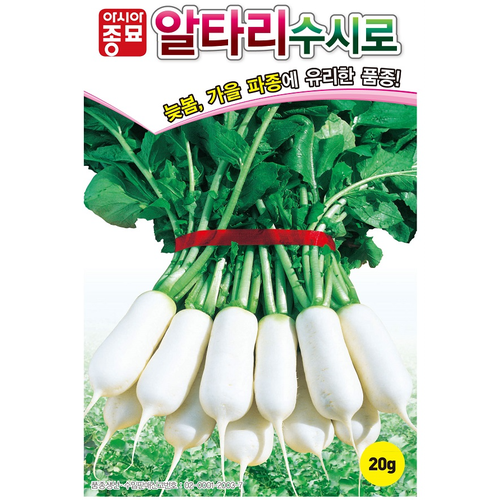 (아시아종묘/무씨앗종자) 수시로알타리(500g)