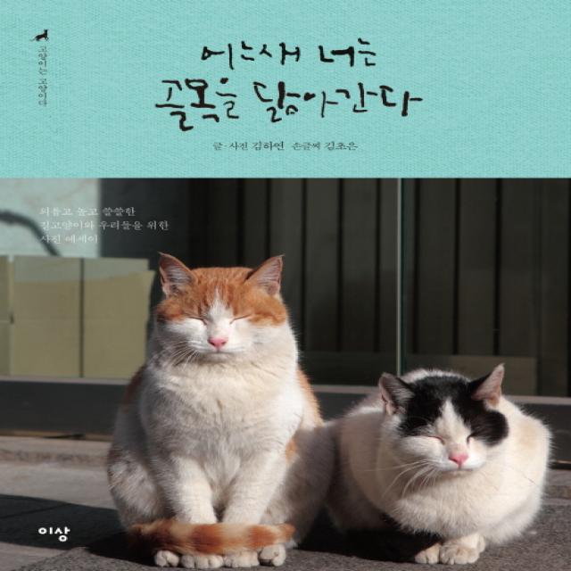 어느새 너는 골목을 닮아간다 (고양이는 고양이다. 2):외롭고 높고 쓸쓸한 길고양이와 우리들을 위한 사진 에세이, 이상미디어