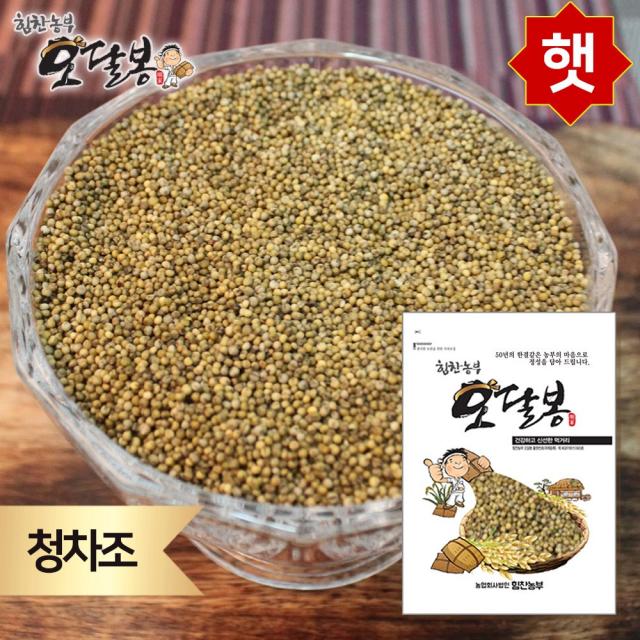 힘찬농부오달봉 2019년 햇 청차조 국내산 1개 1kg