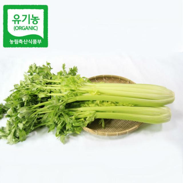 [산세로]친환경 셀러리 10kg, 1개