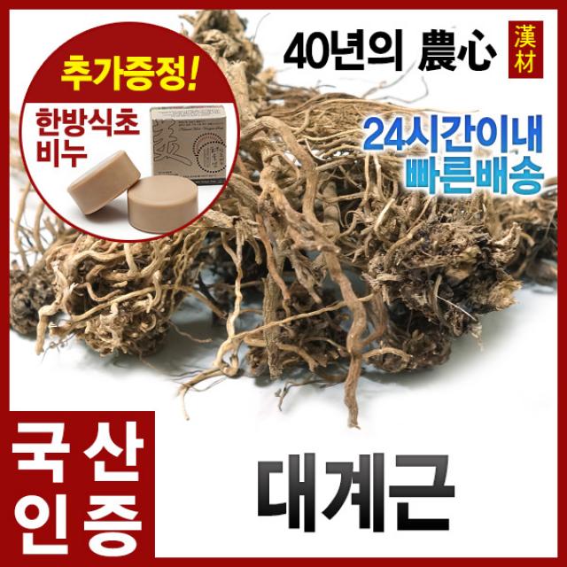 대계근600g 엉겅퀴뿌리 국내산(경북안동), 단품